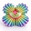 Rainbow aberta